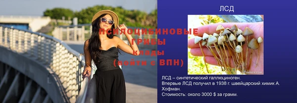 соль ск Абинск