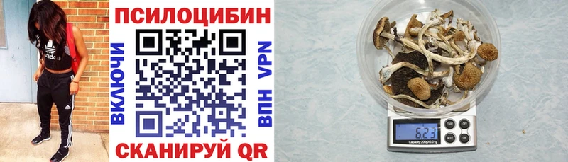 Галлюциногенные грибы GOLDEN TEACHER  цена наркотик  МЕГА tor  Собинка 